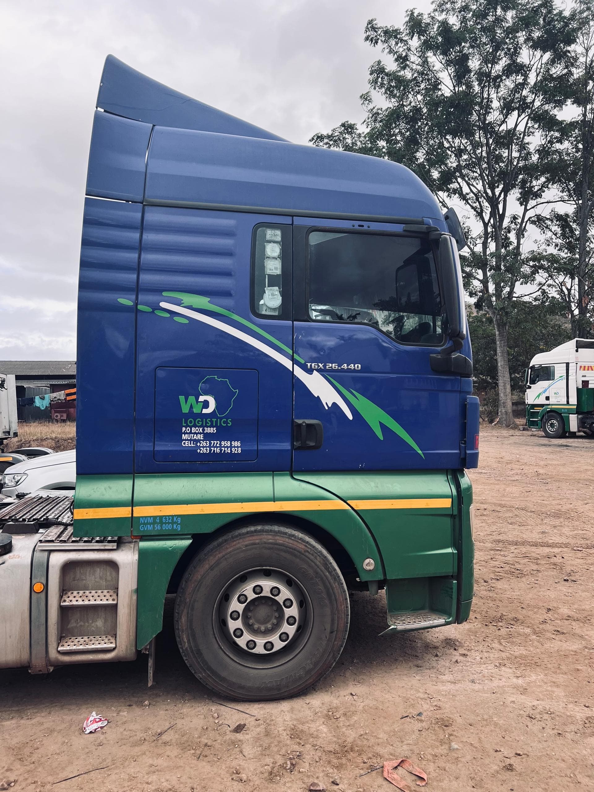 Blue WD Logistics MAN TGX truck, side profile, parked in the yard